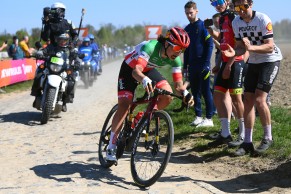 Razones por las que la Trek Domane es una bici de carretera perfecta