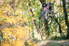 The Cannondale Habit is renewed and expanded with two versions