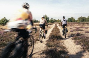 New Focus Atlas 8 for gravel