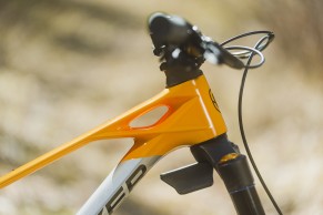 Mondraker Foxy Carbon 2023: models and prices