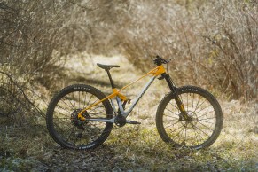 Mondraker Foxy Carbon 2023: models and prices
