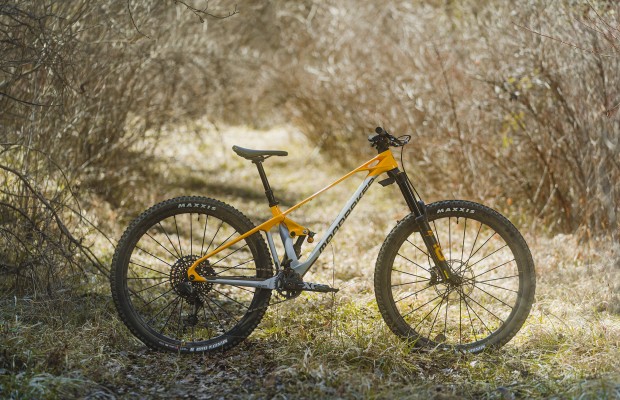 Mondraker foxy best sale 29 rr