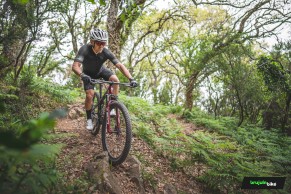 Probamos la Specialized Epic World Cup: una doble para olvidar las rígidas