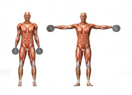 Ejercicios isométricos