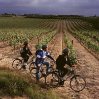 la-rioja-ebike-ride