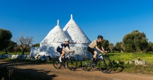 What are the new All Road bikes?