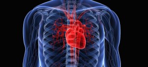 prevenir-muerte-subita-ciclismo