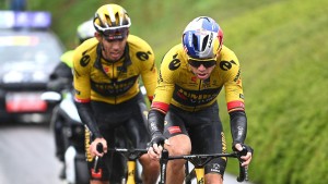 The Big 6 have become popular, but who are they?