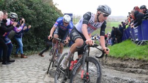 The Big 6 have become popular, but who are they?