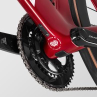 Nueva Canyon Aeroad CFR edición limitada Mathieu van der Poel