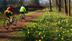 grandes-problemas-ciclismo-primavera