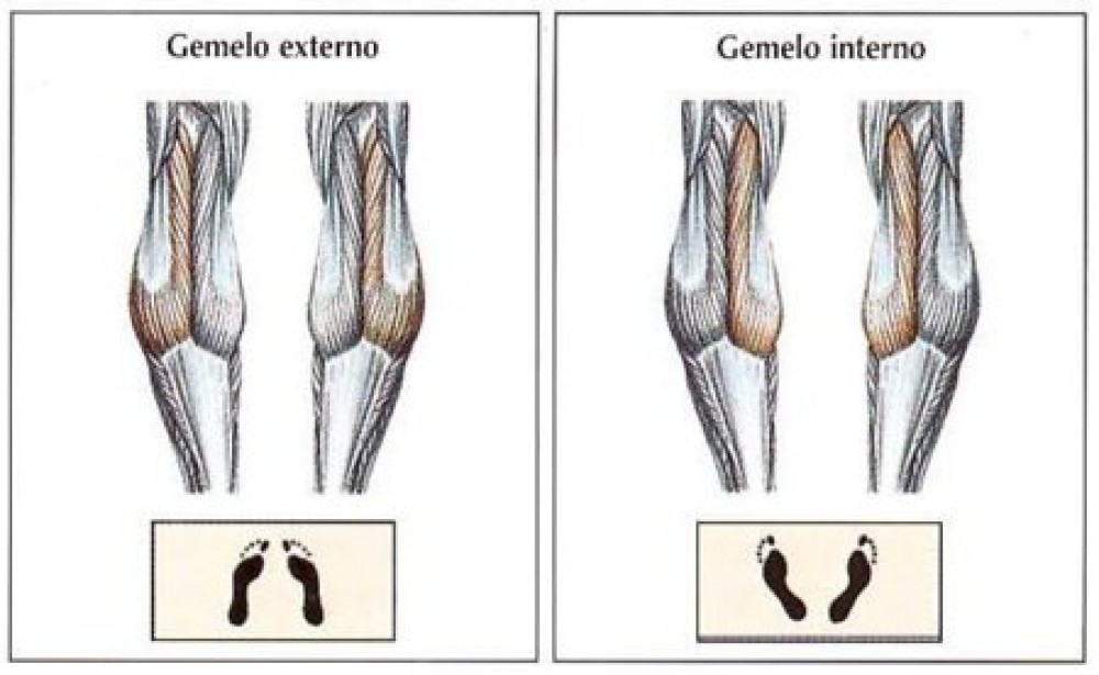 Ejercicios isométricos: 10 sencillos e imprescindibles