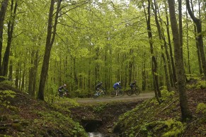 Magnus Cort Nielsen beats cold and rain on stage 10 of the Giro d'Italia
