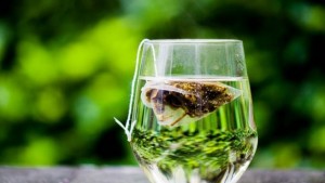 quemadores-grasa-termogenicos-perder-peso