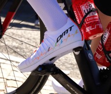 DMT presents the new Pogis 2024