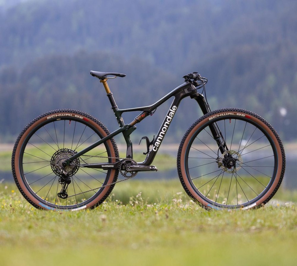 Mona Mitterwallner's Cannondale Scalpel LAB71 in detail