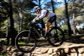 Sale of Pinarello confirmed