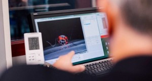 poc-volvo-test-choque