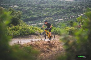 Probamos la Trek Procaliber 9.6: una rígida que no renuncia a nada