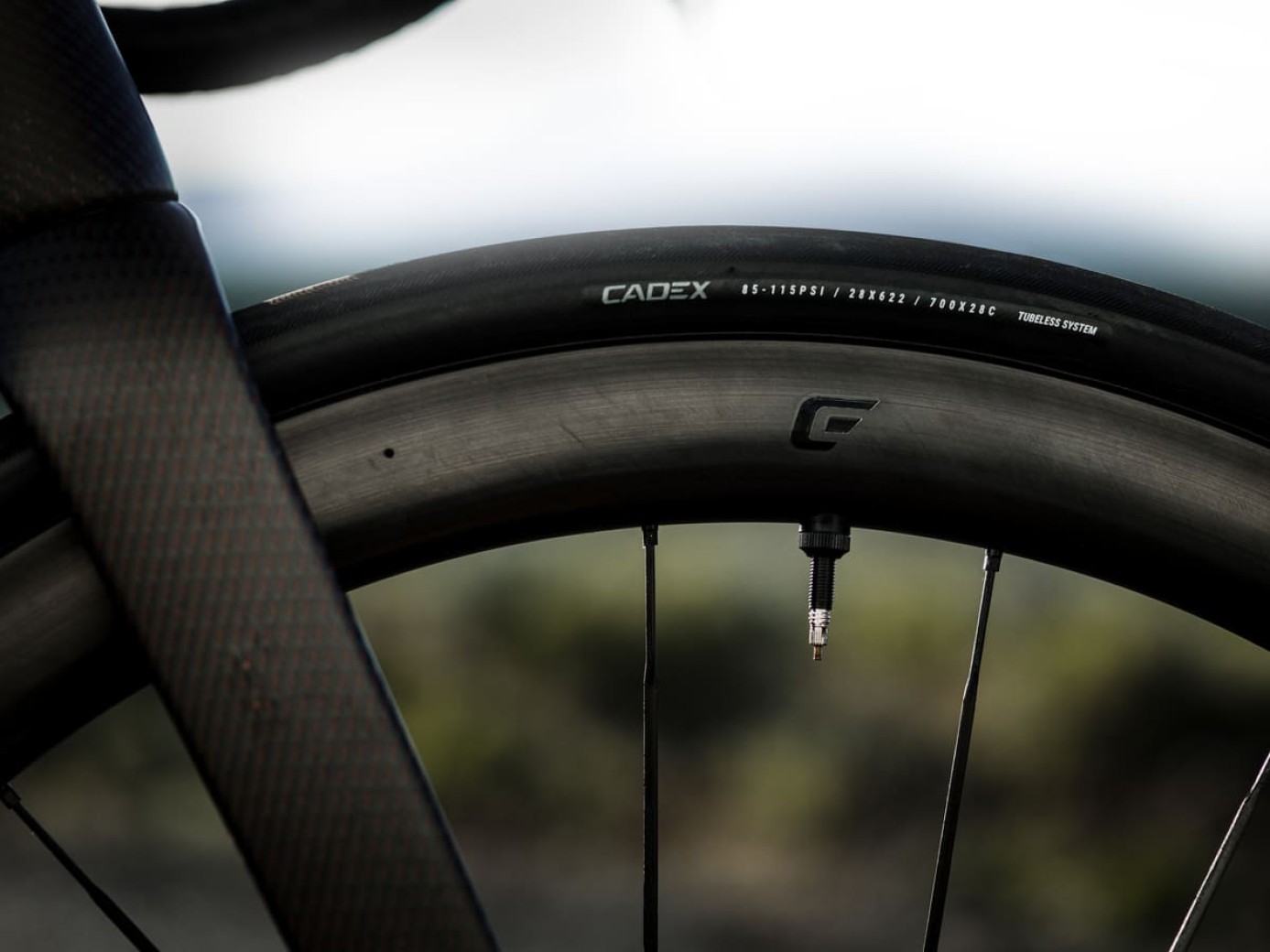 Tyres in the Tour de France, the tubeless is already the reference