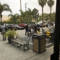 Felt Outfitter, the electric Fat Bike that a thief tried to steal from Schwarzenegger