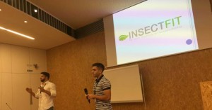 insectfit-barritas-energeticas-insectos