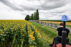 Jasper Philipsen has already won 4 stages in the Tour de France 2023