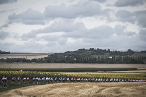 Jasper Philipsen has already won 4 stages in the Tour de France 2023