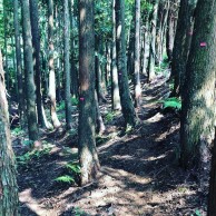 Primeras imágenes del circuito de MTB para los JJ.OO de Tokio