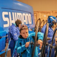 What brand are the blue Shimano bikes?