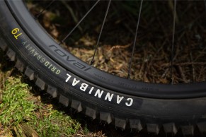 Specialized presenta las nuevas Roval Traverse y el sillín Power Expert con Tecnología Mirror