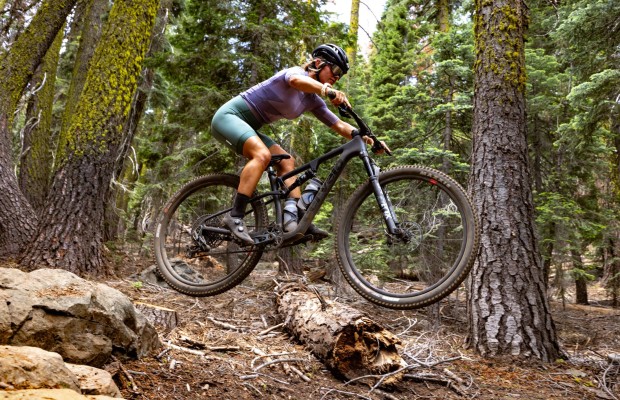 Prices and models of the new Cervélo ZSF-5 XC