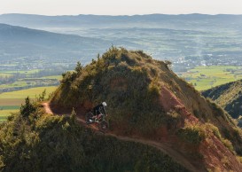 Beet juice: boost your performance quickly and naturally