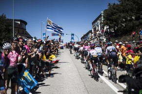 Final sprint for La Vuelta a España 2023: must-see stages, favorites and how to watch