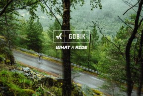 Gobik estrena logo y nueva imagen