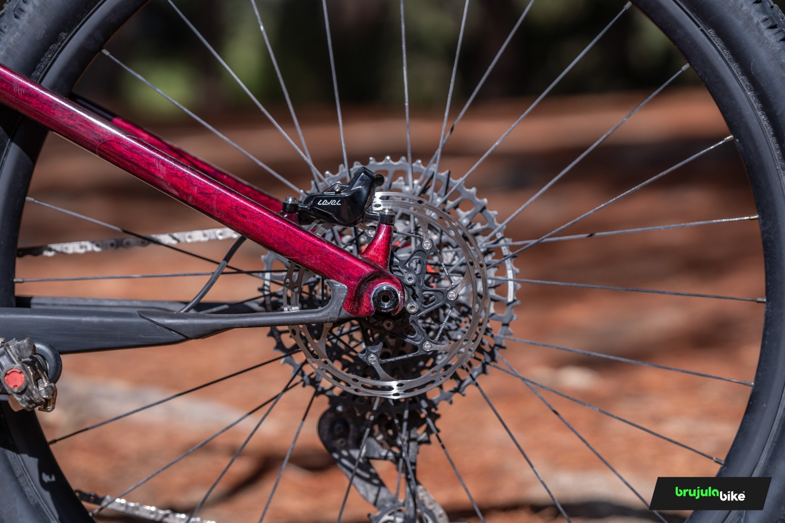 Probamos en exclusiva la Cannondale Scalpel LAB71 la mejor XC de la marca