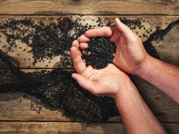 Trek plantea aceptar bicicletas usadas y venderlas de segunda mano