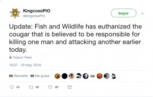 mountain bike, ciclismo