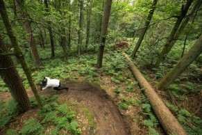 New Orbea Laufey 2024: an affordable trail that embraces fun over the stopwatch