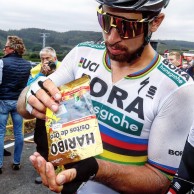 Glicogênio, o melhor amigo do ciclista