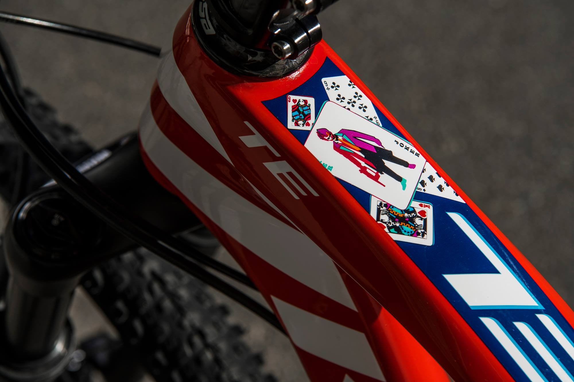 Estas son las Kross Level B + del Kross Racing Team, 8,8 kg cargados de detalles