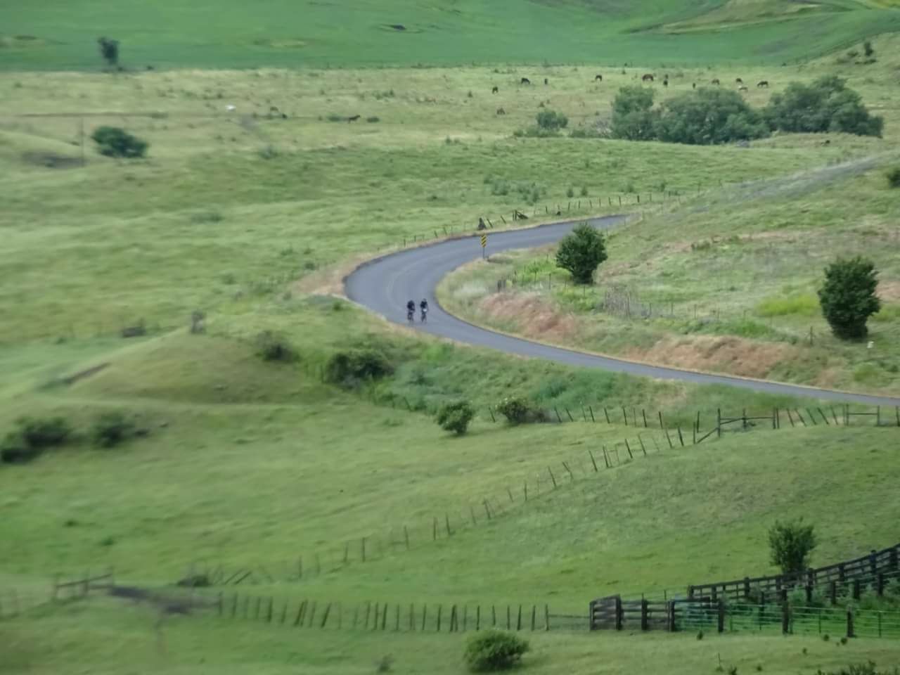 Atropello Trans Am Bike Race