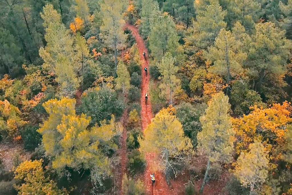 Senderos salvajes en la región de Provenza