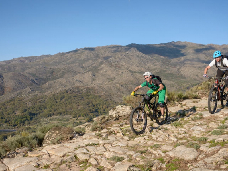 MTB