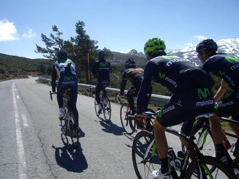 normas fundamentales del entrenamiento