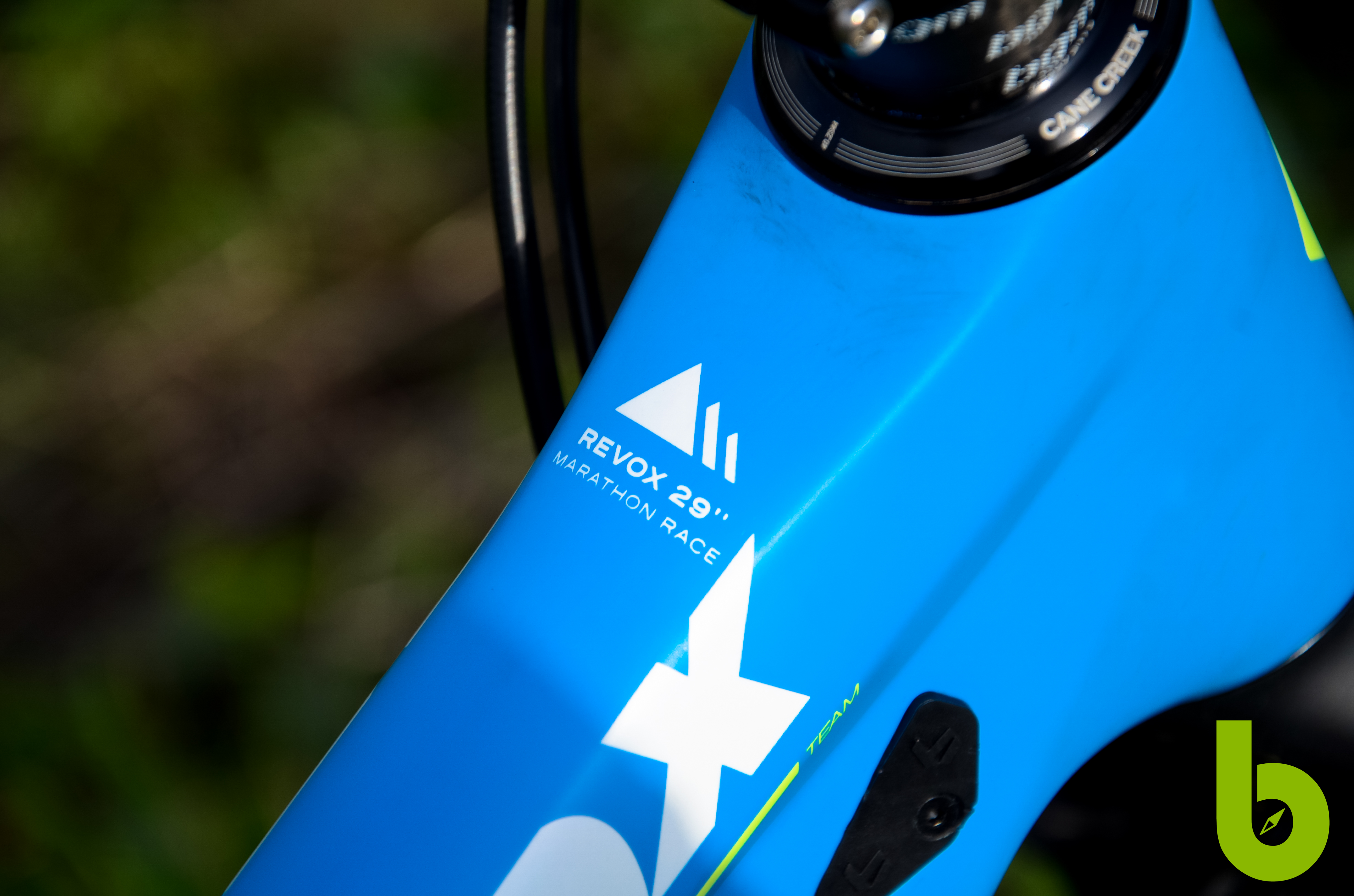 Bergamont Revox Team