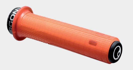 ERgon GD1