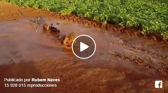 Una bici, un charco y un niño, este vídeo está arrasando