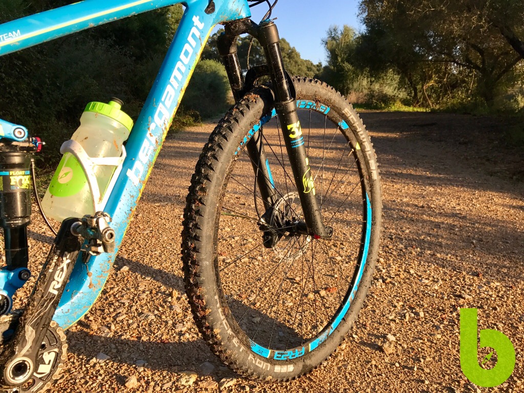 Bergamont Fastlane Team