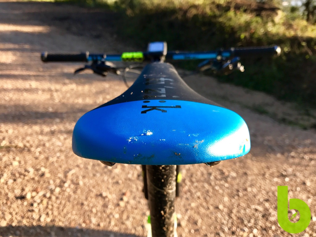 Bergamont Fastlane Team